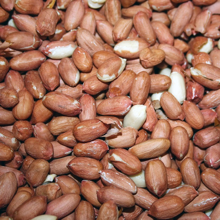 Hulled Peanuts for Birds