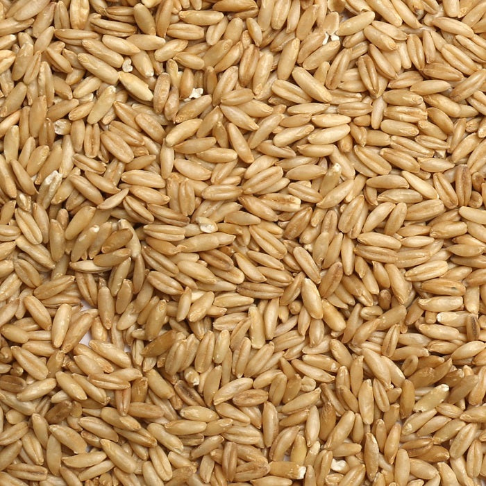 Oat Groats