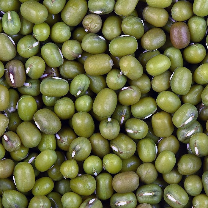 Mung Beans for Pigeons