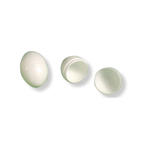 Dummy Eggs for Bird Training
