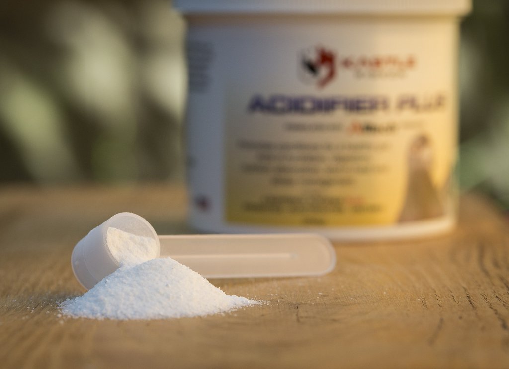 ACIDIFIER PLUS (Kastle)