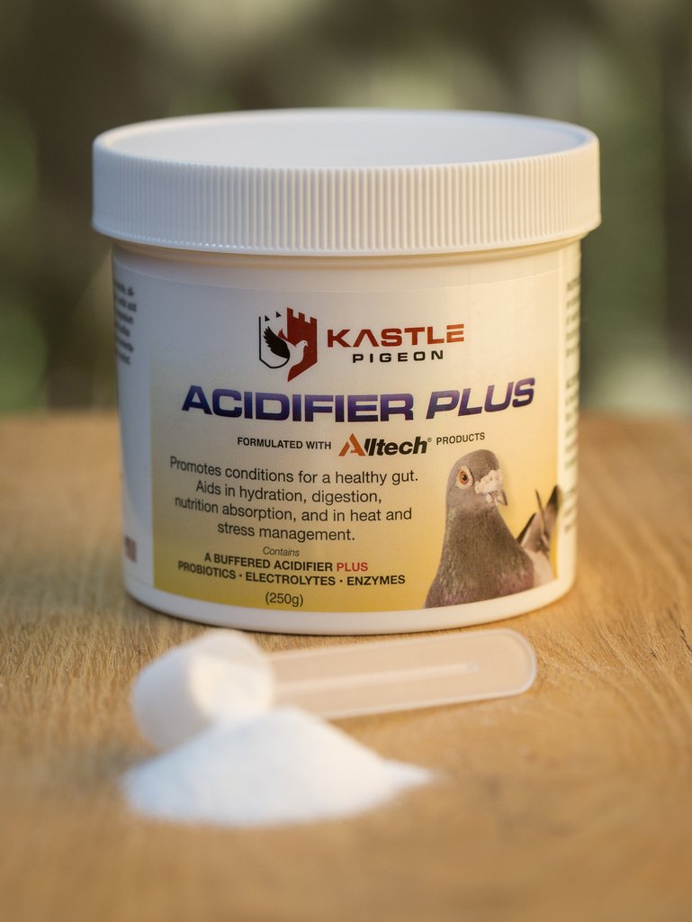 ACIDIFIER PLUS (Kastle)