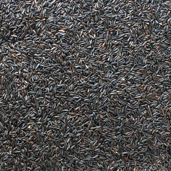 Nyger Seed