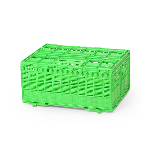 Bird Travel Cage