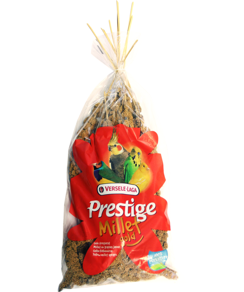 Premium Millet Seeds for Birds