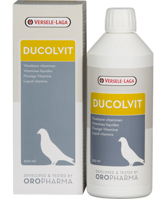 Vitamins for Racing Pigeons