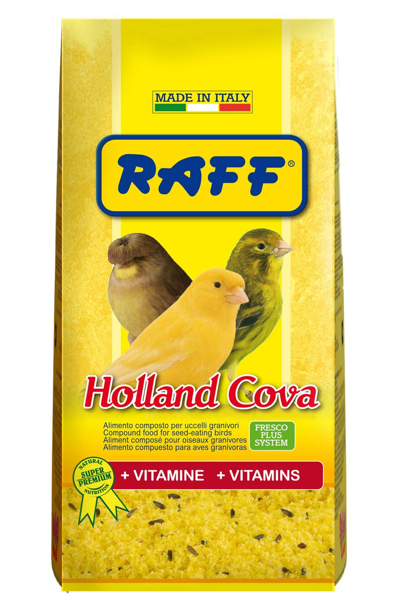 Holland Cova (Raff)