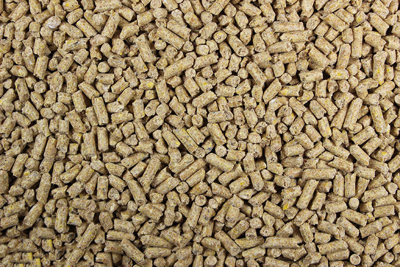 A.P. Lay Pellets (Leach Grain & Milling) Quality Laying Hen Pellets