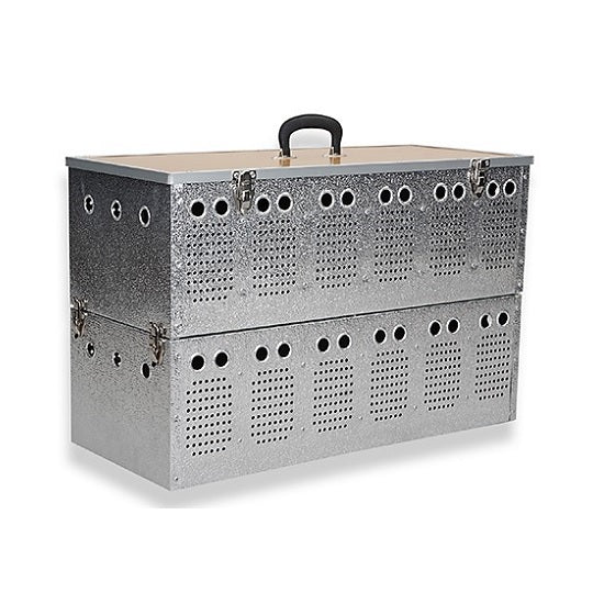 Pigeon Transport Box