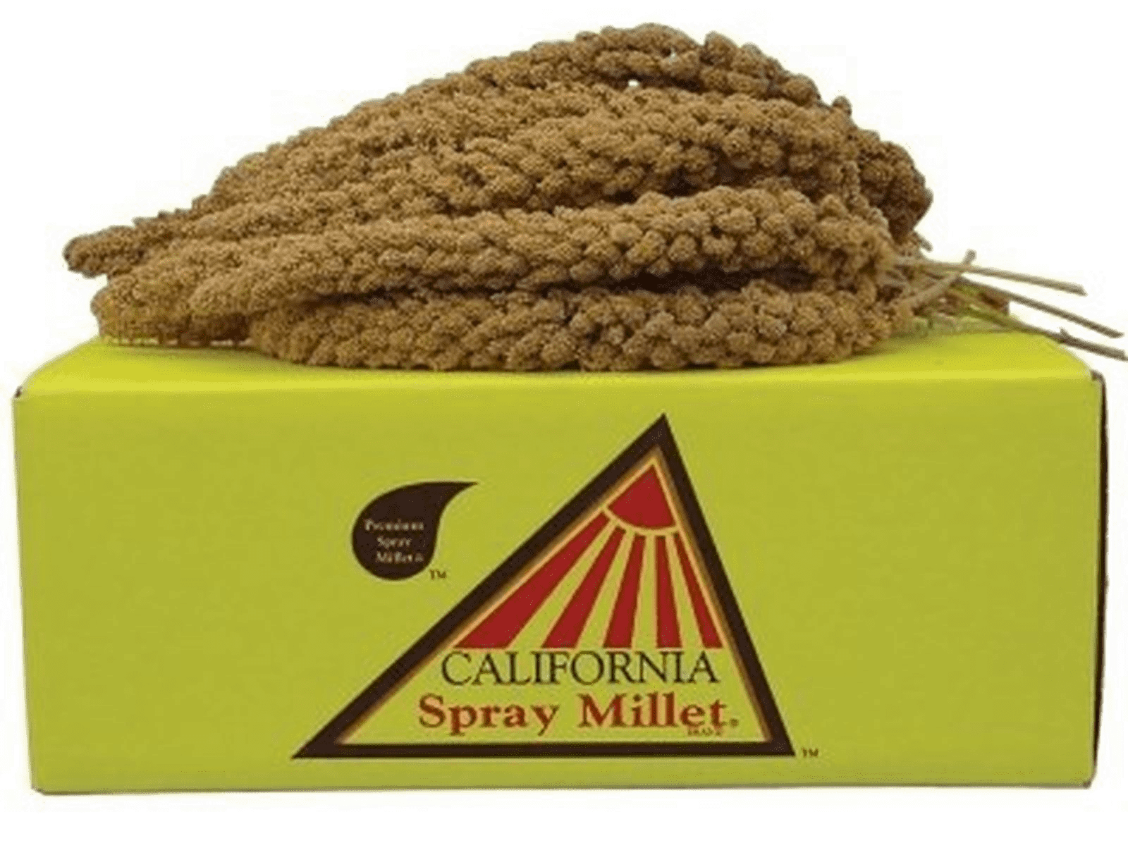 Premium Millet Spray for Birds