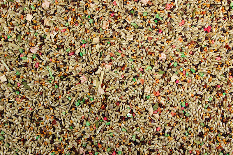 A close-up of Canary Roller Cuisine bird food, showing a mix of seeds, grains, and colorful morsels, indicative of a nutritious blend designed for canaries.