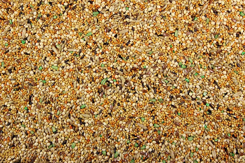 Finch Seed Mix