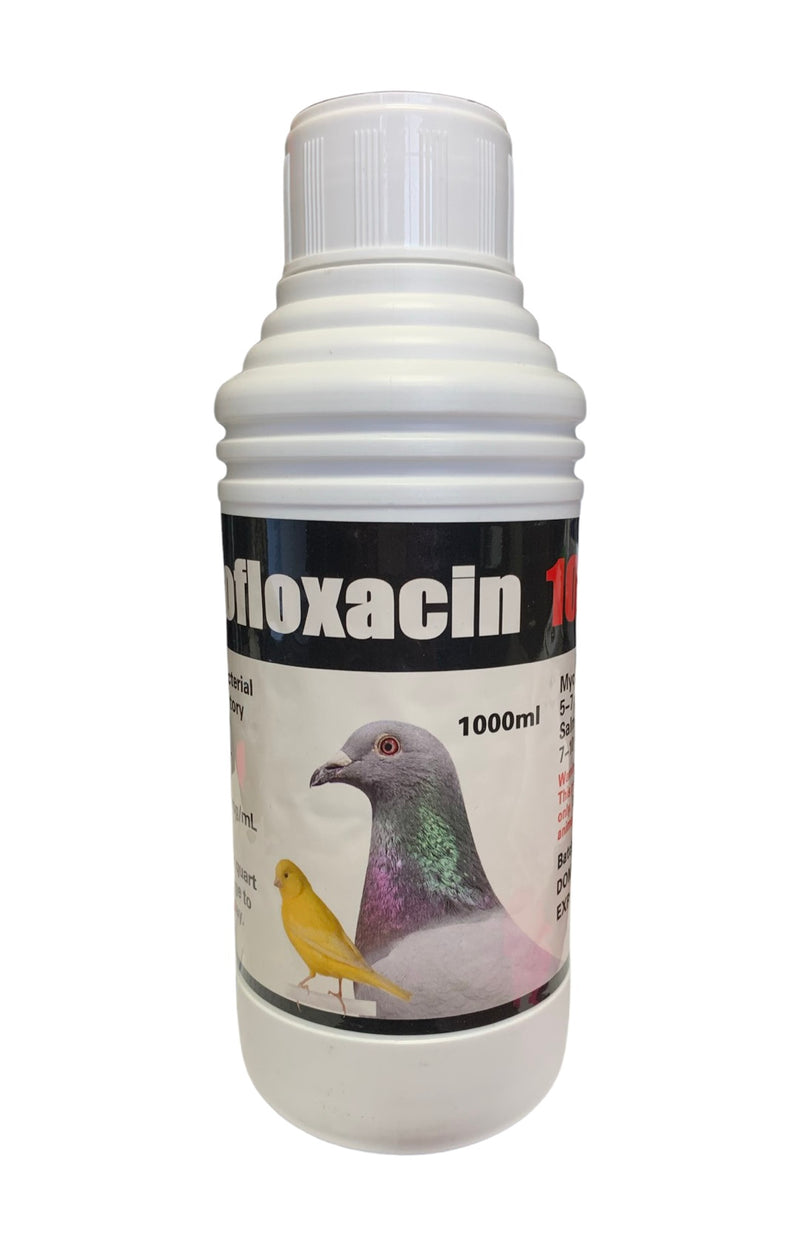 bottle of antibiotic for birds