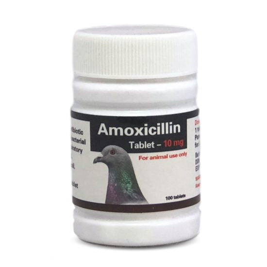 amoxicillin bird supplies