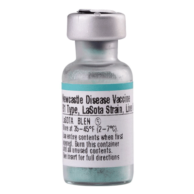 LaSota Strain - Newcastle Vaccine (Merial)