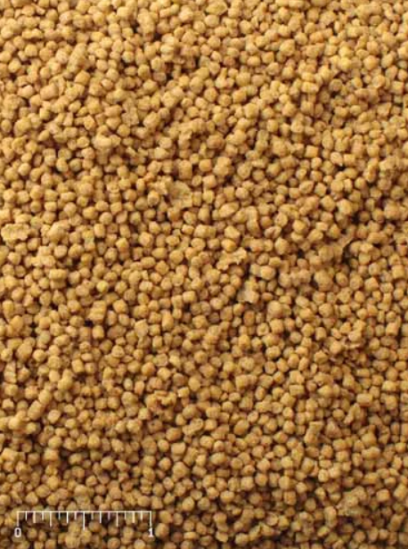 Premium Bird Food