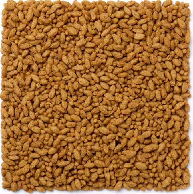 cockatiel food