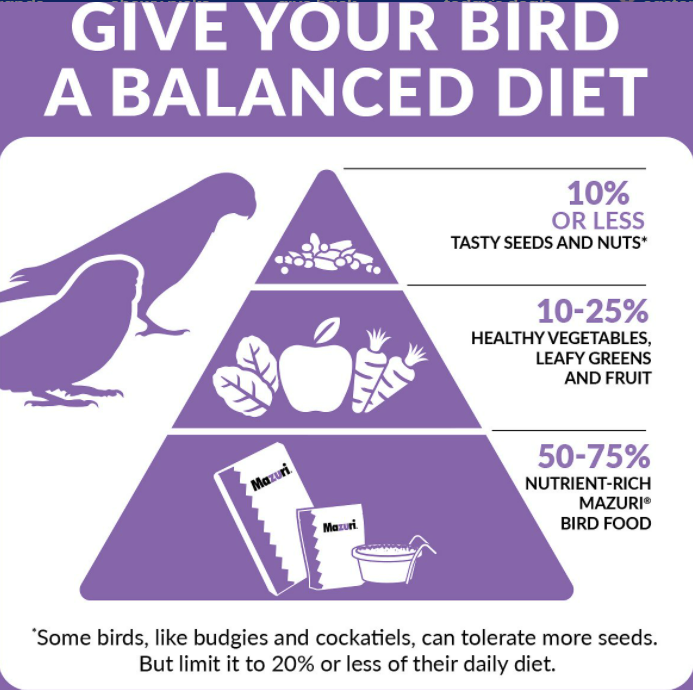 Mazuri Small Bird Diet (Leach Grain & Milling): Premium Food for Small Birds