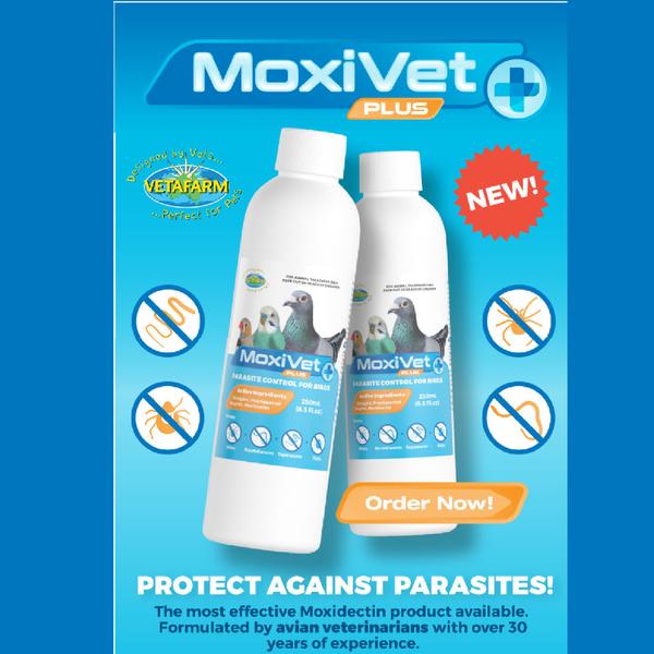 Ad for Moxivet plus