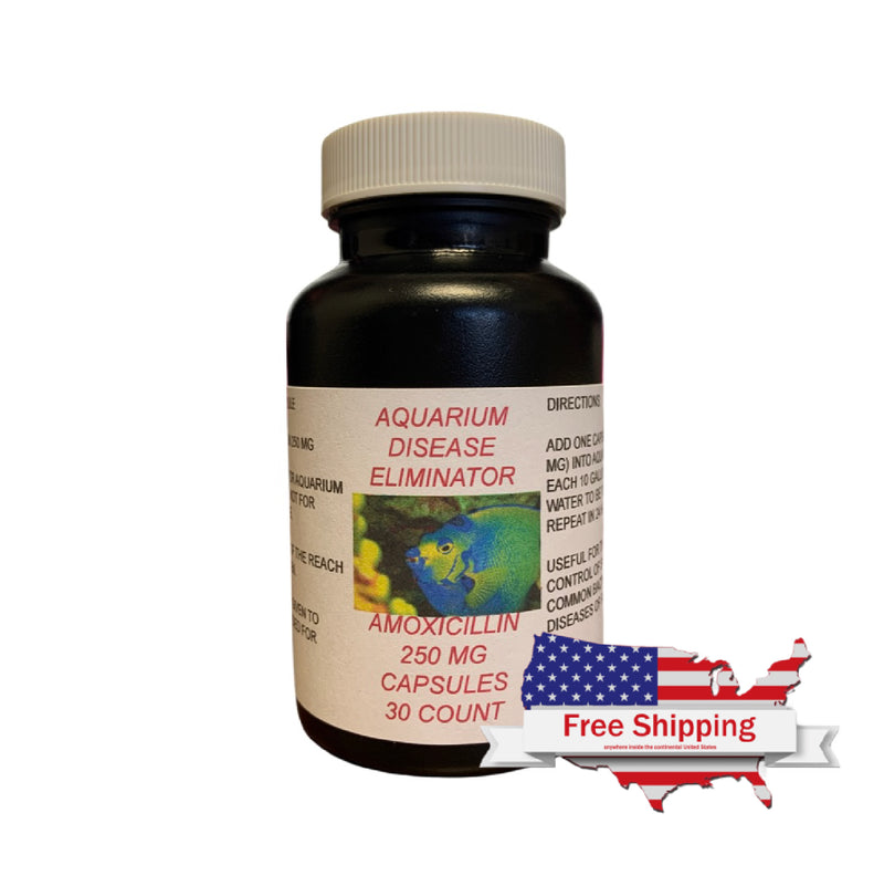 Amoxicillin without prescription