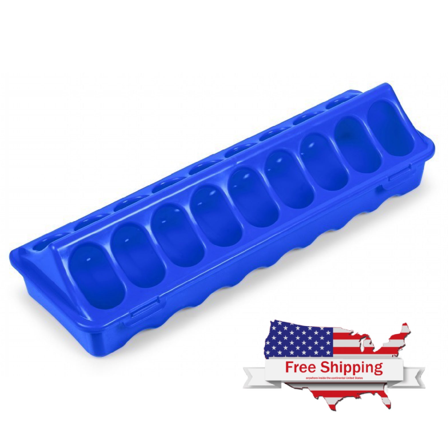 Blue Plastic Feeder for Chicks