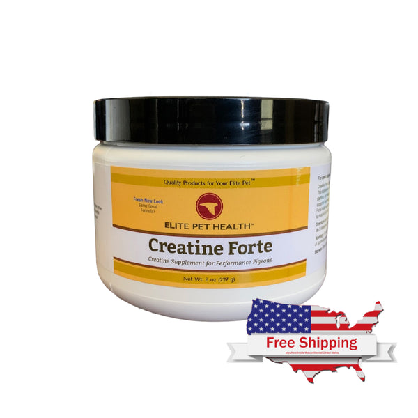 l carnitine for pigeon Supplements Creatine & for patients with carnitine ALPHA LION Burn2O L-Carnitine dull-skin Option:Glutathione