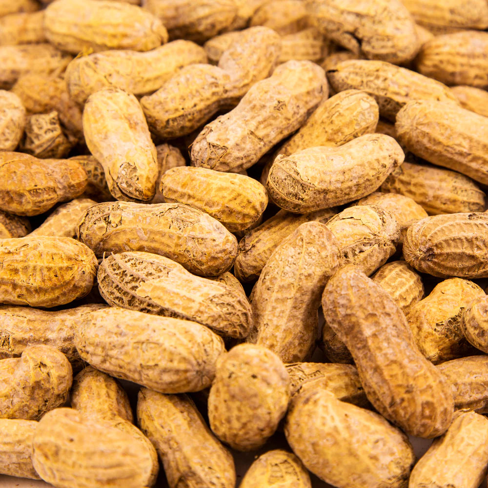 Raw Peanuts in shell
