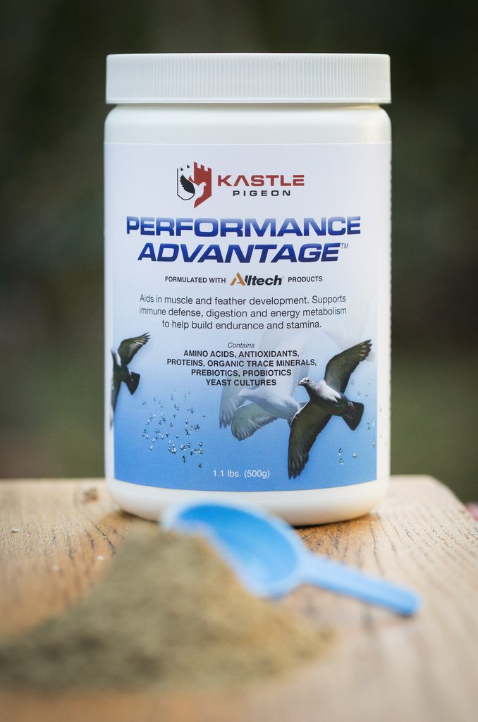 Performance Advantage (Kastle)