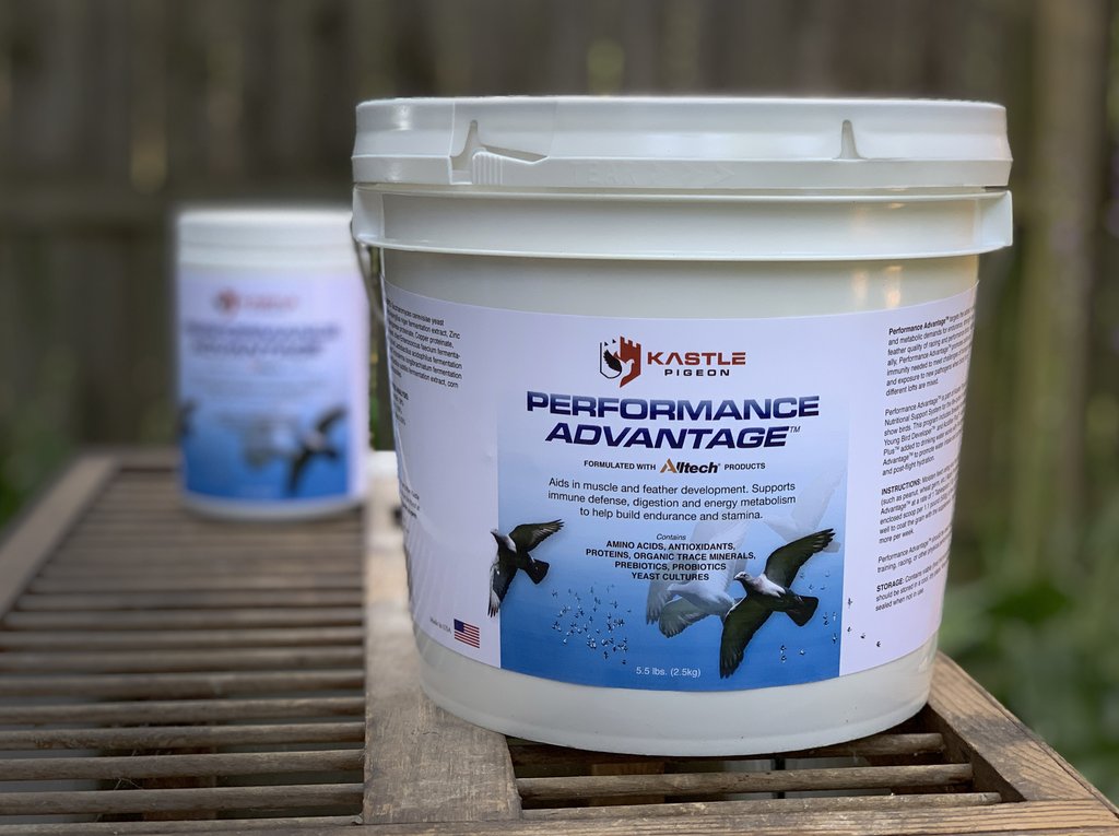 Performance Advantage (Kastle)