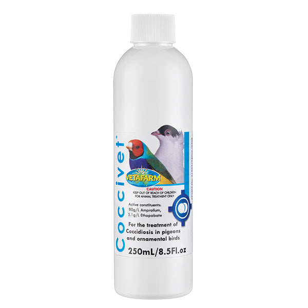 Pigeon Coccidiosis Treatment