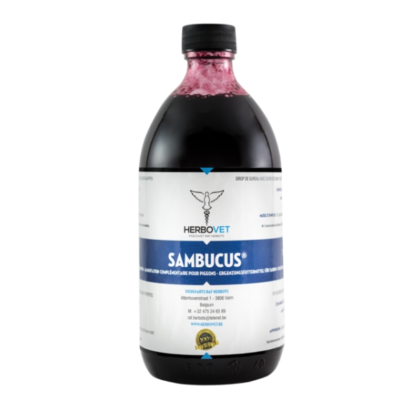 Sambucus (Herbovet)