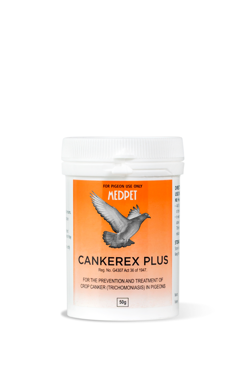 Pigeon Crop Canker Treatment