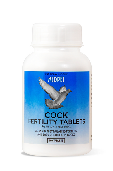 Jedds birds and clearance pigeons supply