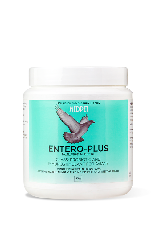 Probiotic for Pigeons