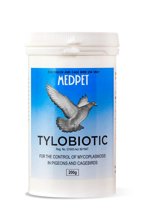 Mycoplasmosis in Pigeons Treatment
