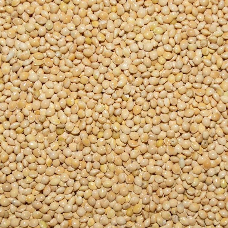 White Millet Seed for Pigeons & Doves