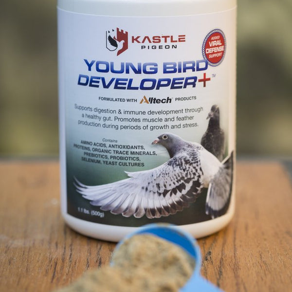 LITTLE PIGEONS フィッシングベスト Young Bird Developer+ (Kastle)