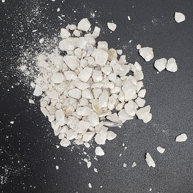 Oyster Shell for Chickens