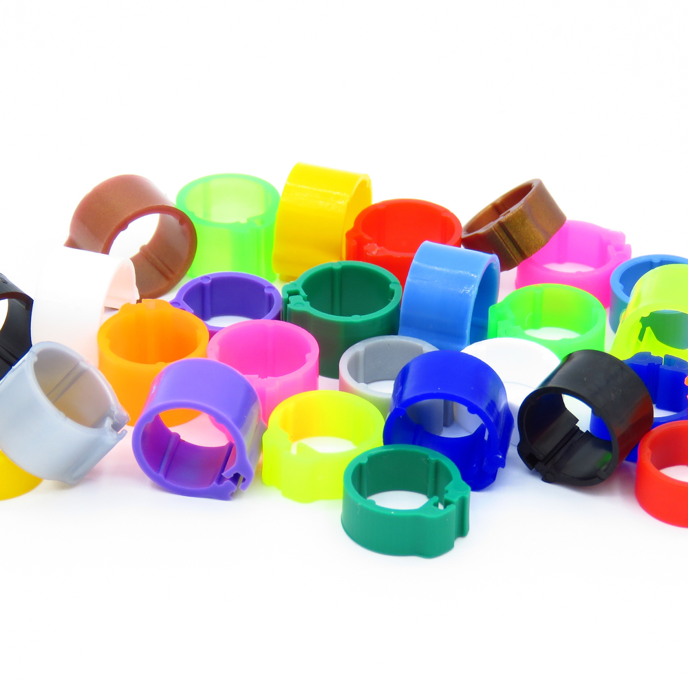 E-Z Clip Rings Plain 8 mm Pigeon Identification Clip Rings. Made in Belgium. Plain. (50 pcs)