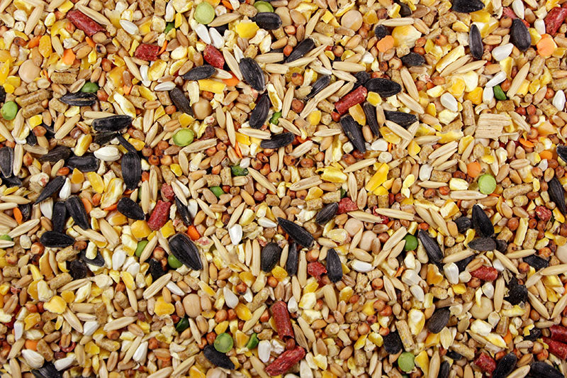 Chicken Feed With Cracked Corn