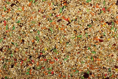 Parakeet Bird Food