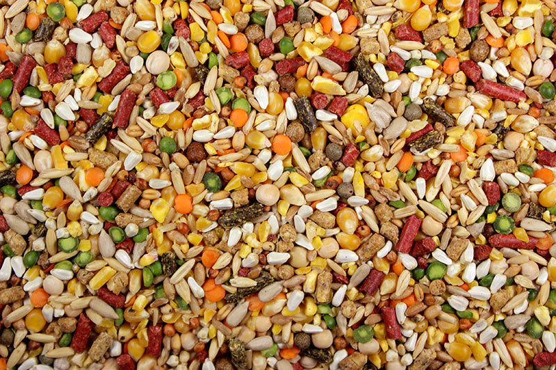 Cracked Corn (Leach Grain & Milling)