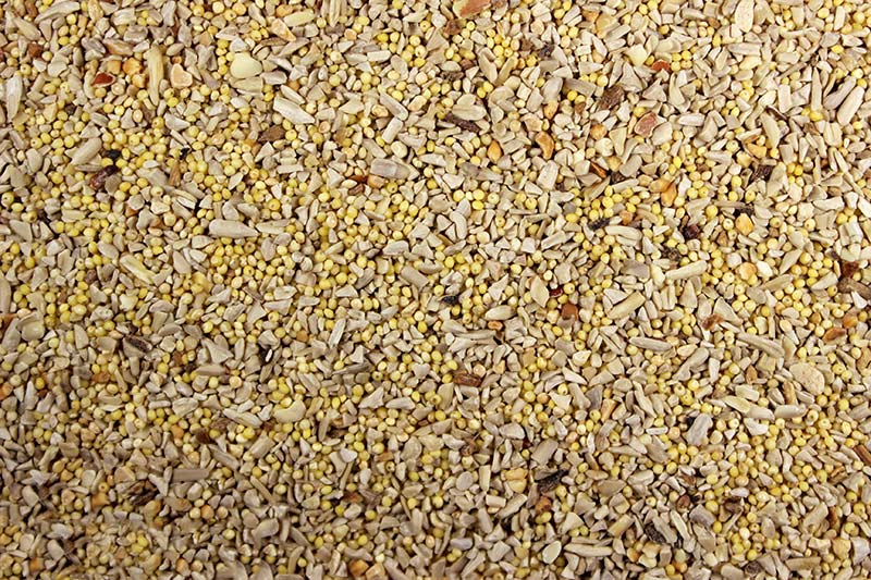 No Mess Wild Bird Feed