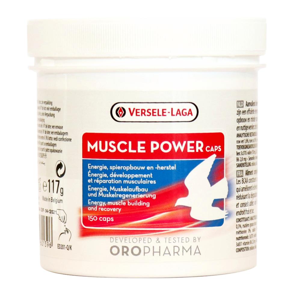 BCAA Capsules for Strong Flight Muscles in Birds