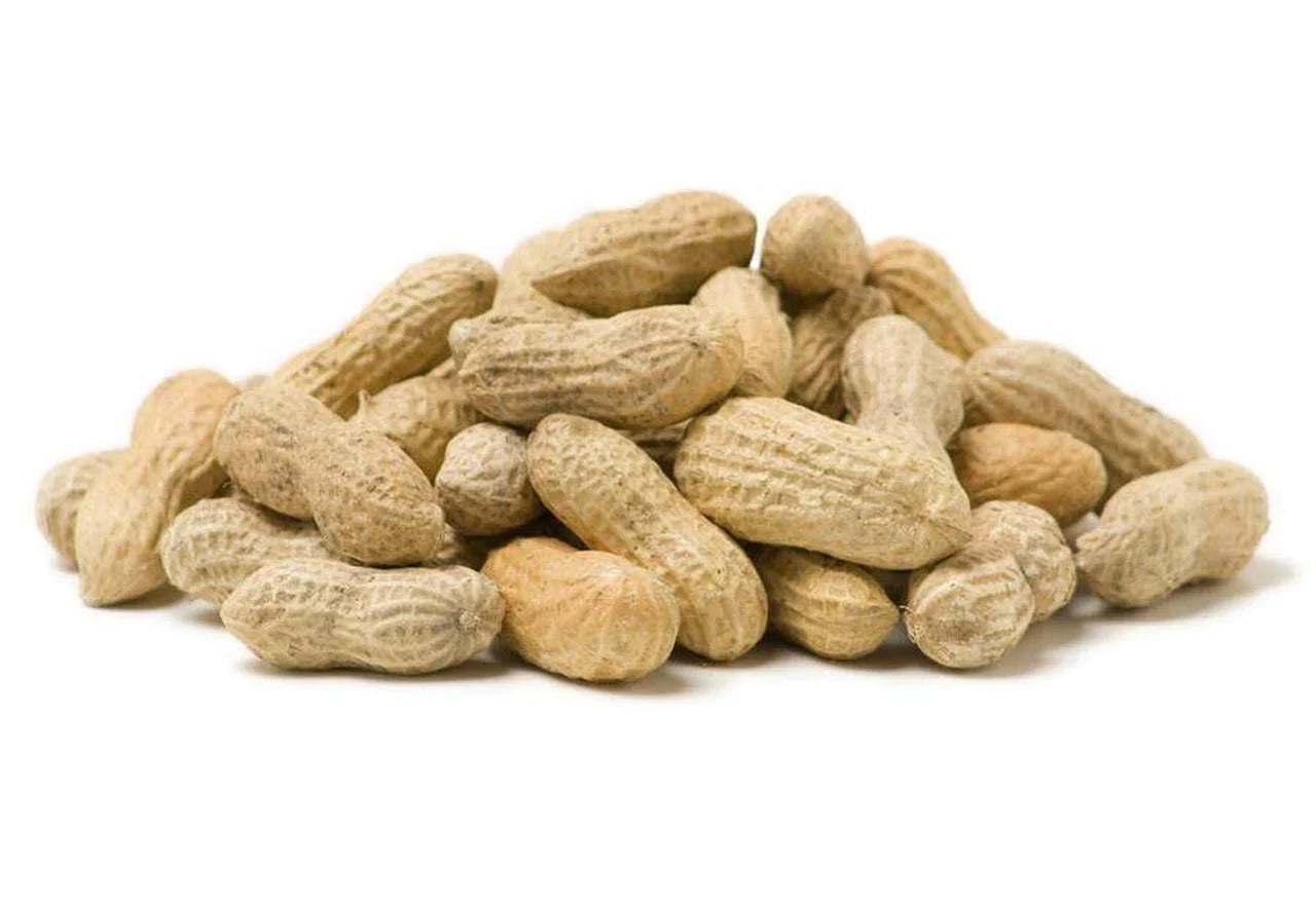 Raw Peanuts in shell